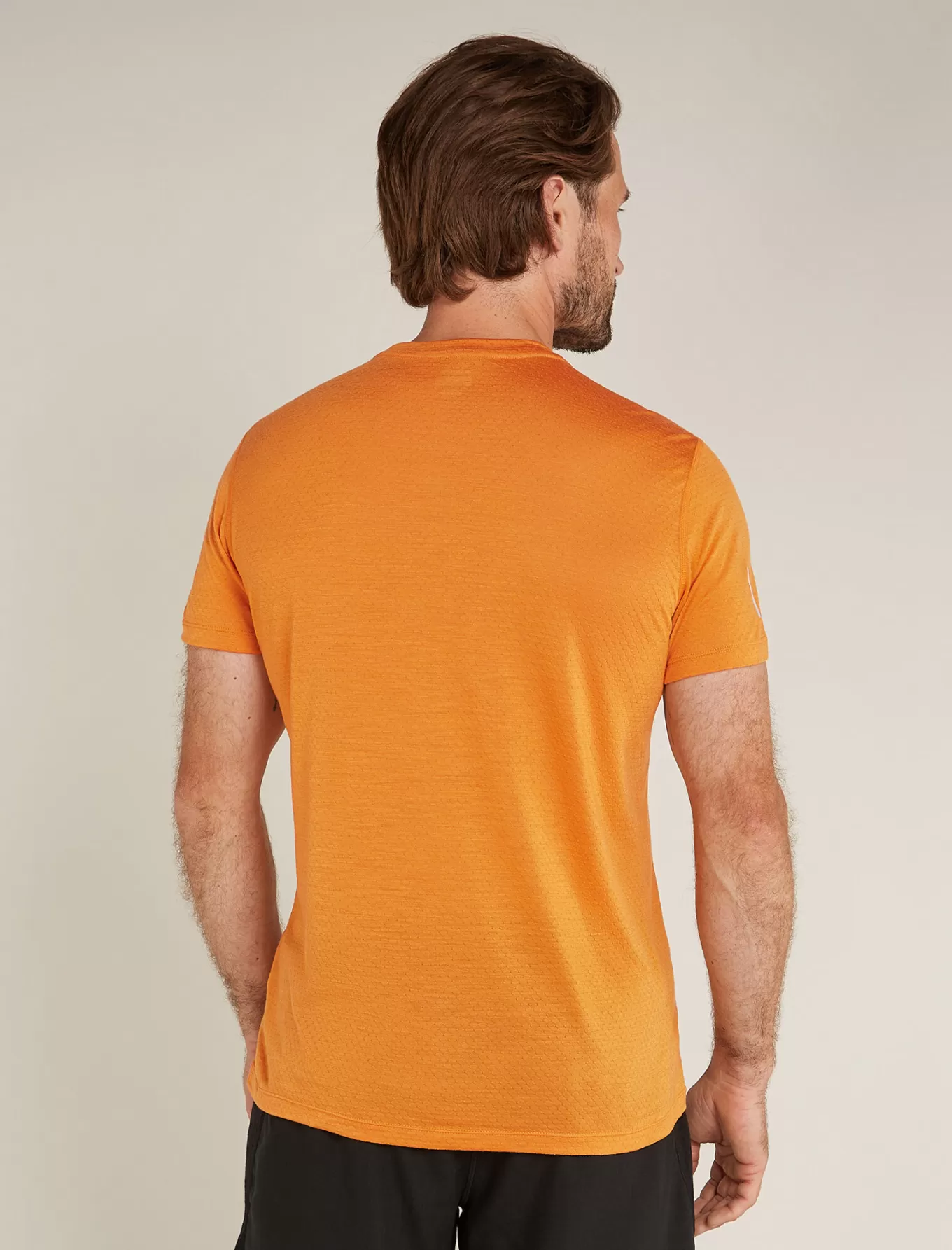 Cheap Icebreaker 125 Cool-Lite™ Merino Blend Speed T-Shirt Herren Ray