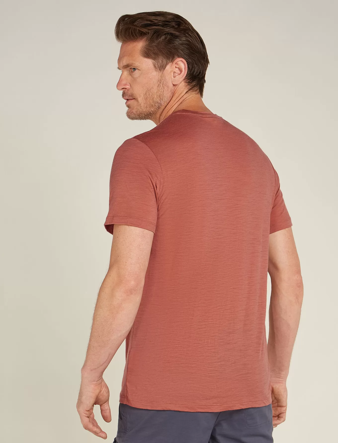 Cheap Icebreaker Merino 150 Tech Lite T-Shirt Van Life Herren CedarWood