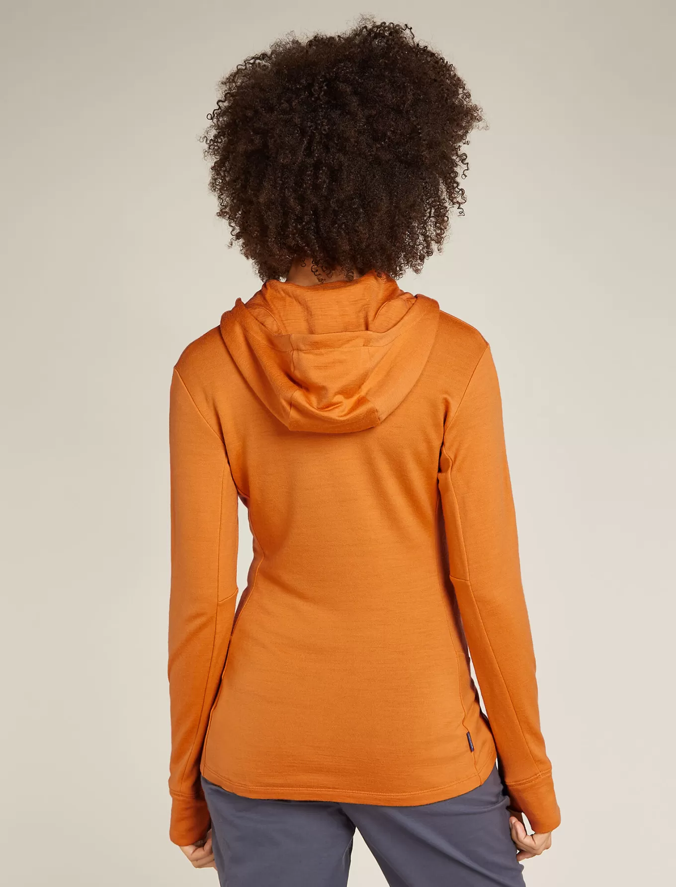 Hot Icebreaker Merino 260 Quantum Zip-Hoodie Damen Ray
