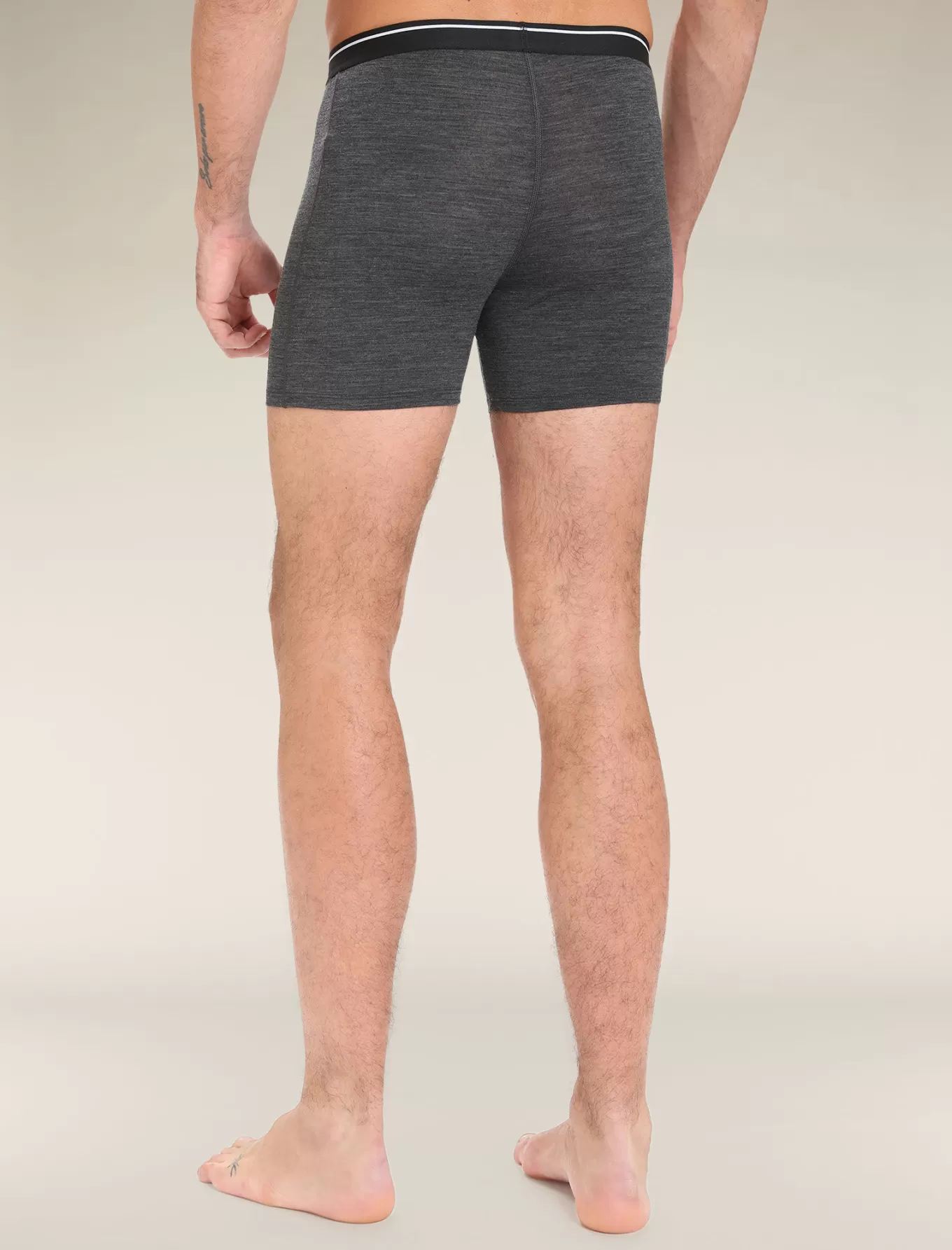 Clearance Icebreaker Merino Anatomica Boxershorts mit Eingriff Herren JetHeather