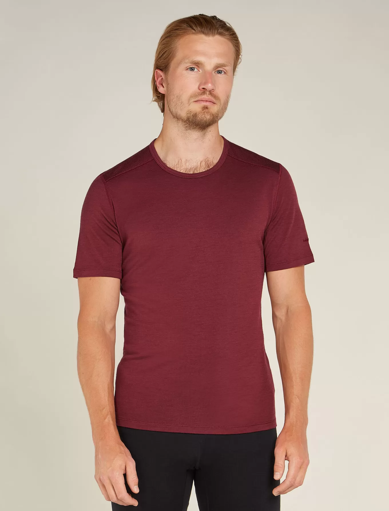 Shop Icebreaker Merino Anatomica T-Shirt Herren Port
