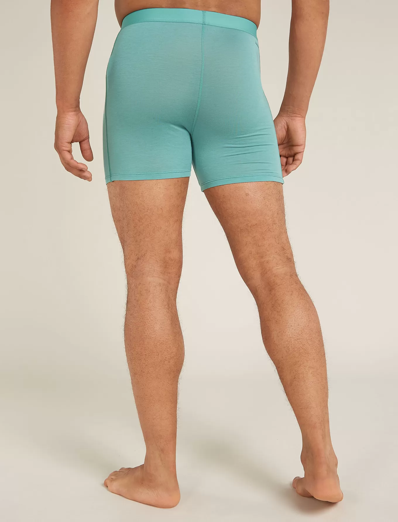New Icebreaker Merino Blend Core Boxershorts Herren CloudRay