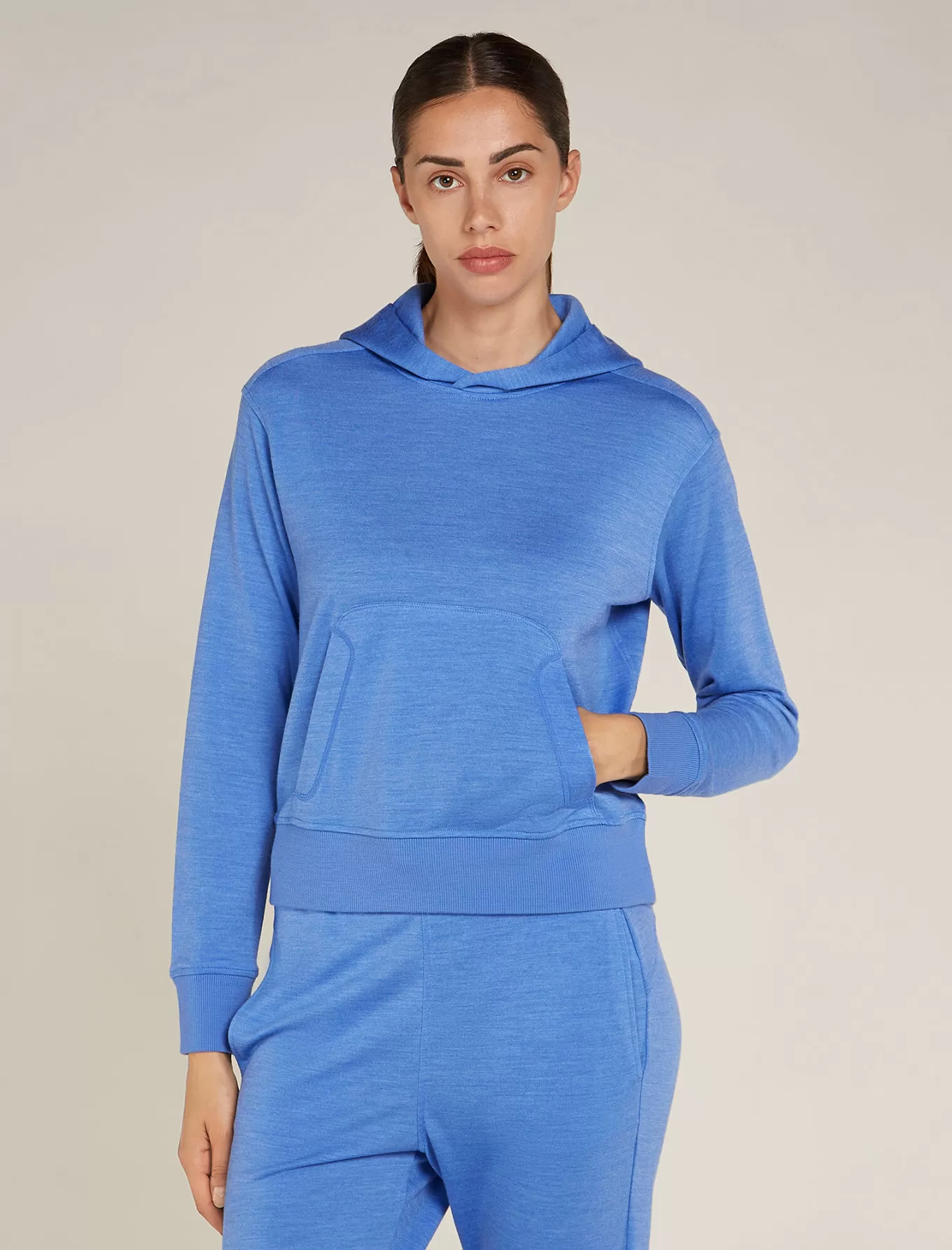 Clearance Icebreaker Merinomix Crush II Hoodie Damen Baja